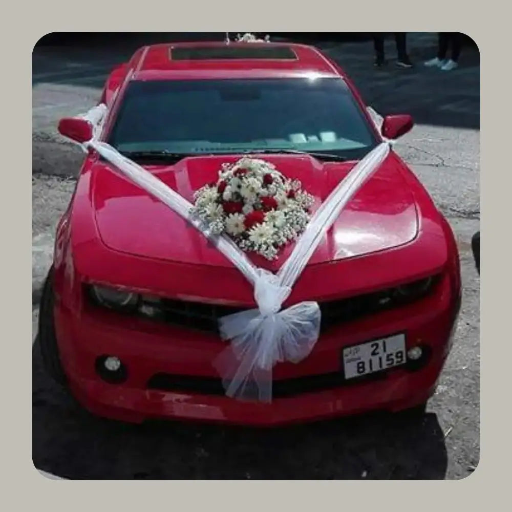 The Iconic Heart & Medallion Serie Car Artistry