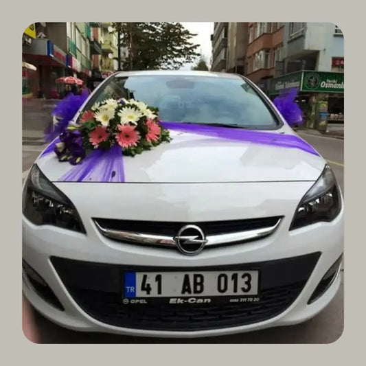Vows on Wheels The Ultimate Wedding Drive Mastery