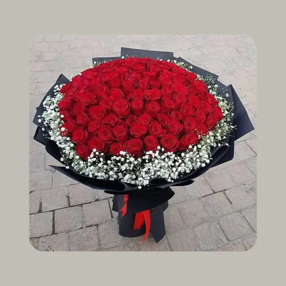 Premium Midnight Red Rose Bouquet with White Gypsophila Halo and Matte Black Wrap