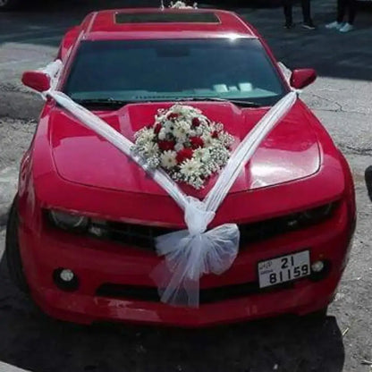 The Iconic Heart & Medallion Serie Car Artistry