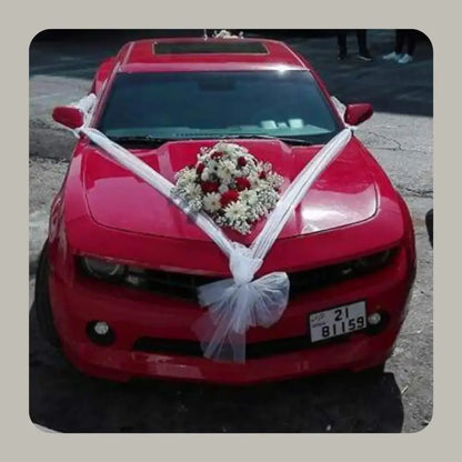 The Iconic Heart & Medallion Serie Car Artistry