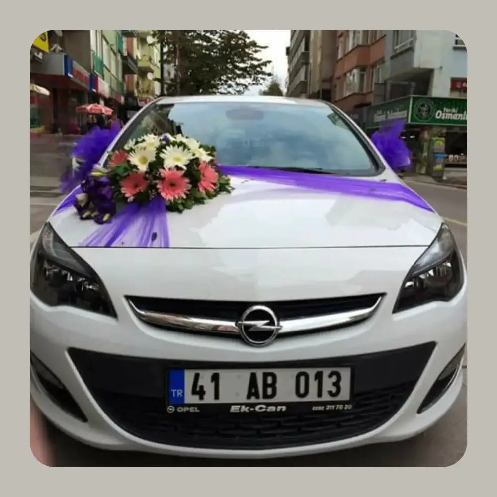 Vows on Wheels The Ultimate Wedding Drive Mastery