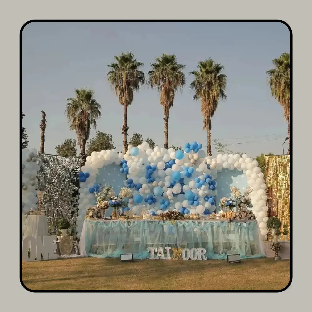 Cloud-Nine Sky Blue & Silver Outdoor Birthday Gala